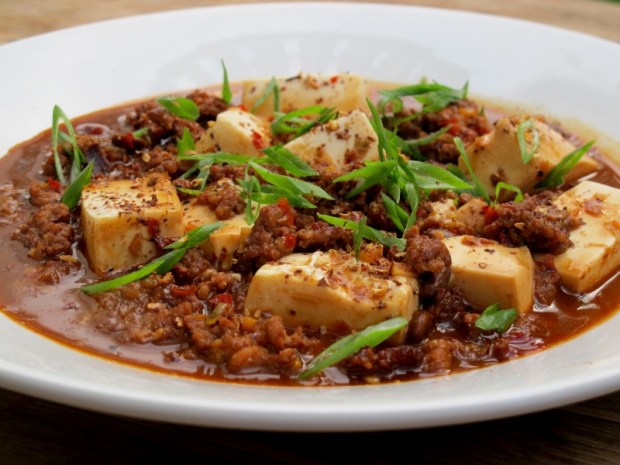 Mapo Tofu 麻婆豆腐